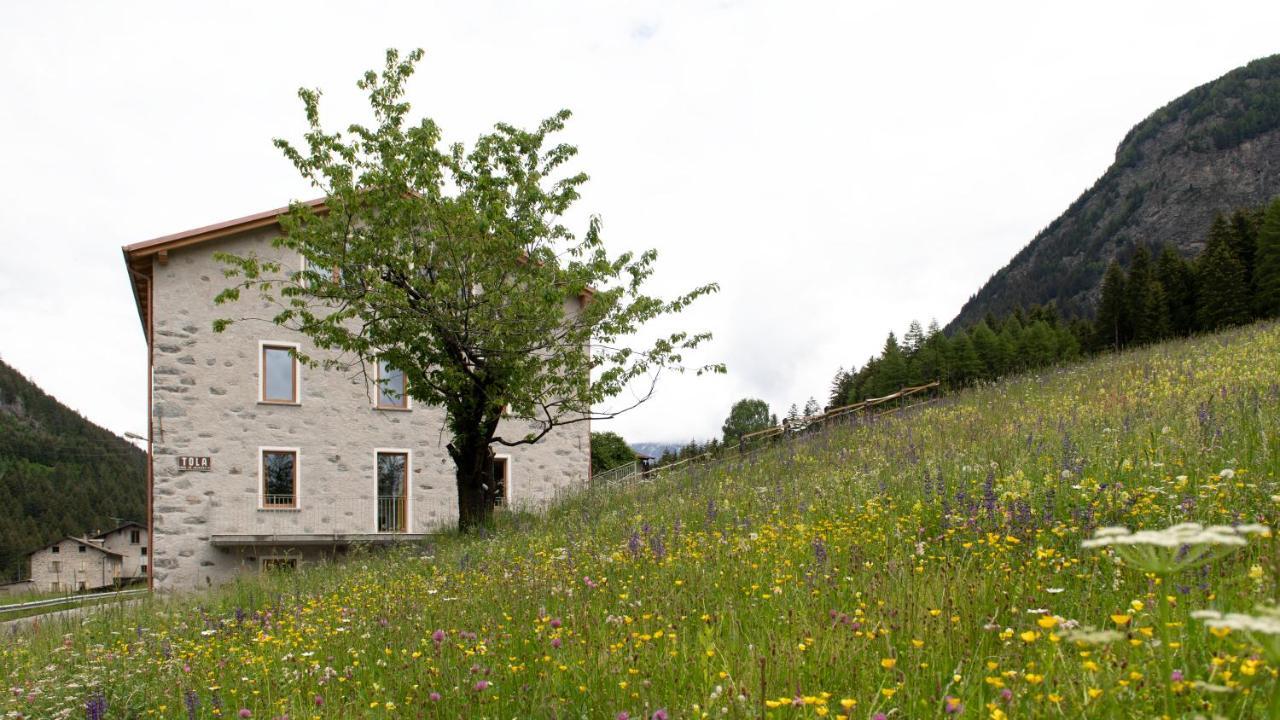 Italianway - Villa Tola Valdisotto Eksteriør billede
